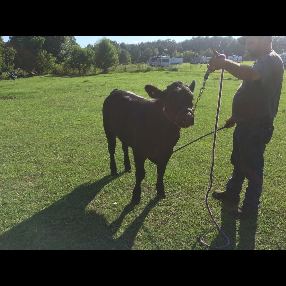 Meet your Posher, Deonne